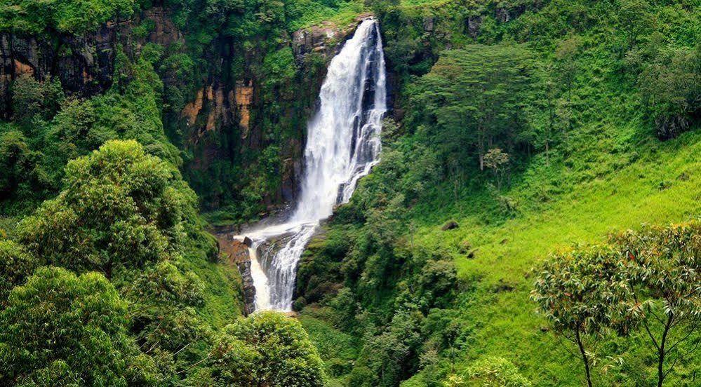 Royal Cocoon - Nuwara Eliya Hotel Eksteriør billede